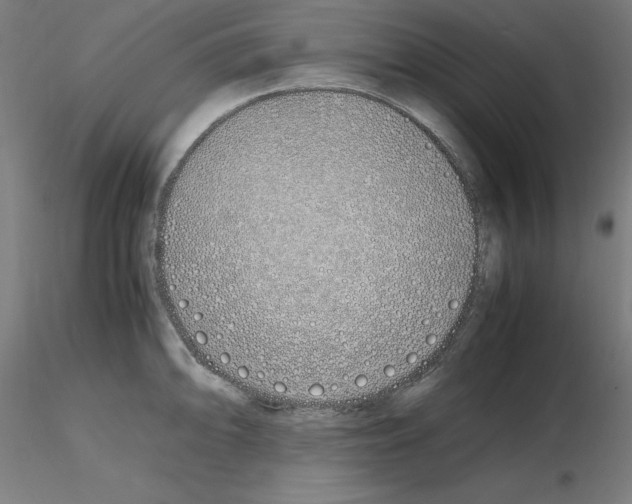 X0000115621094200912221223