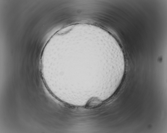 X0000115621095200912221223