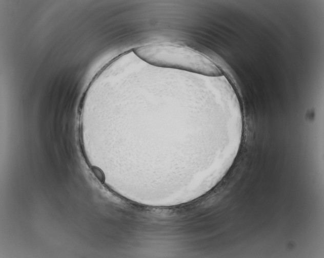 X0000115621096200912221223