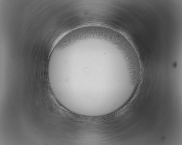 X0000115621097200912221223