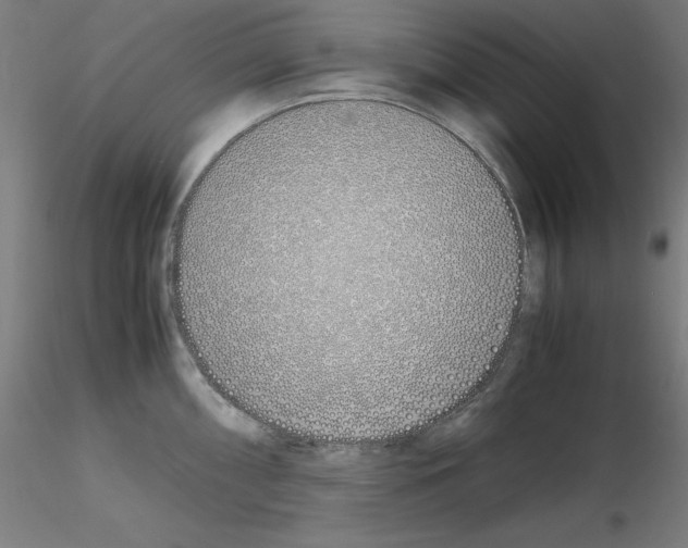 X0000115621098200912221223