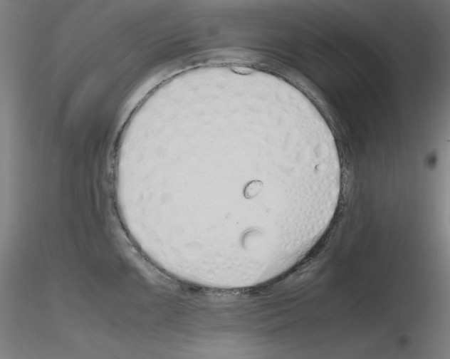 X0000115621099200912221223