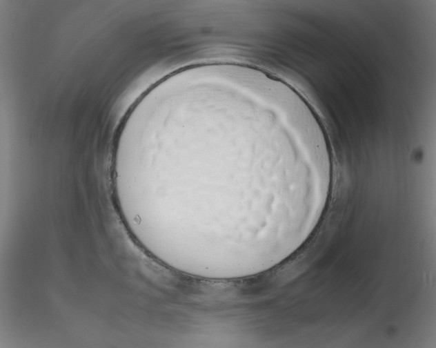 X0000115621101200912221223