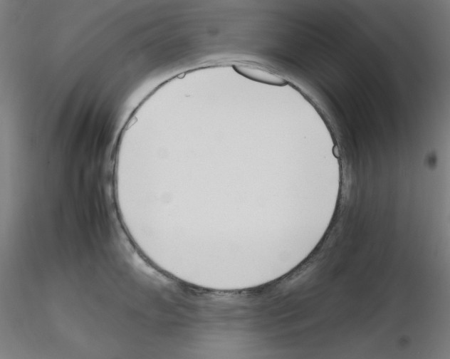 X0000115621102200912221223