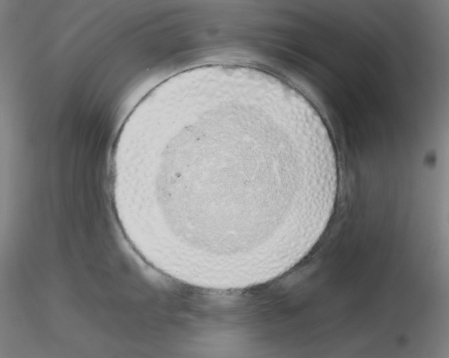 X0000115621103200912221223