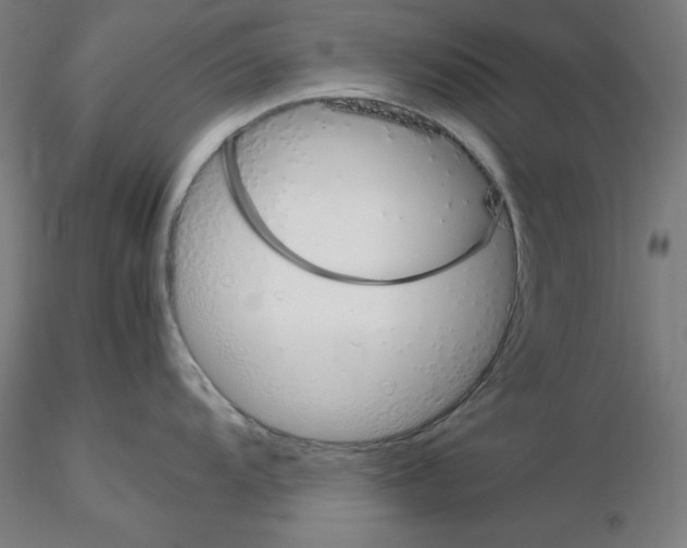 X0000115621104200912221223