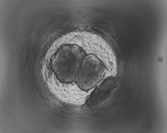 X0000115621105200912221222