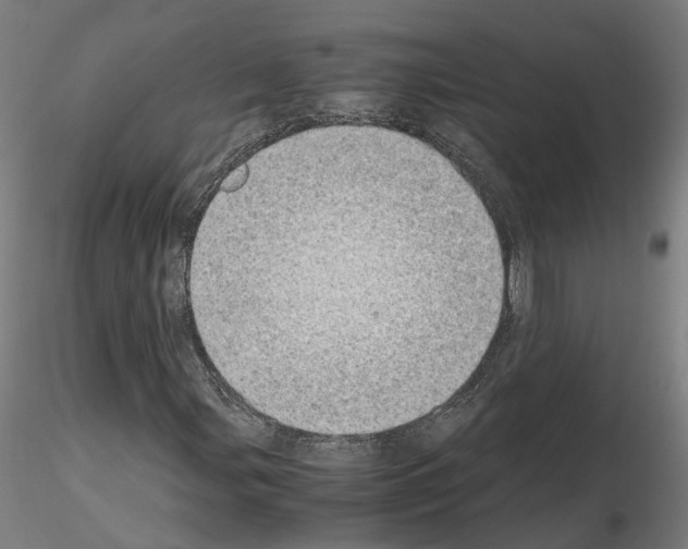 X0000115621107200912221222