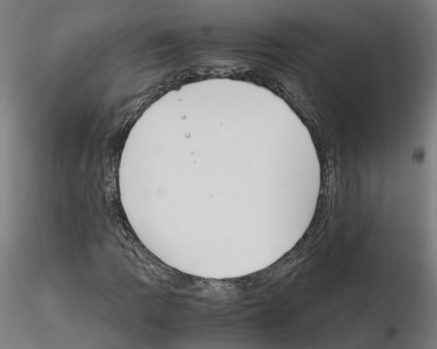 X0000115621109200912221222