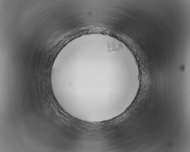 X0000115621110200912221222