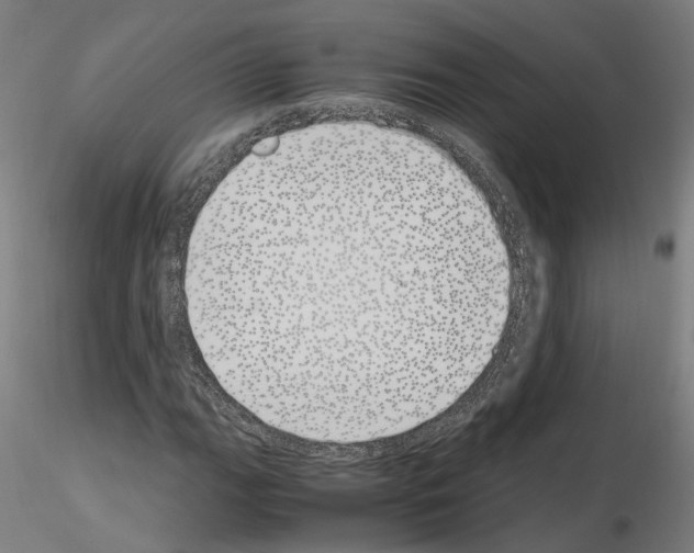 X0000115621111200912221222