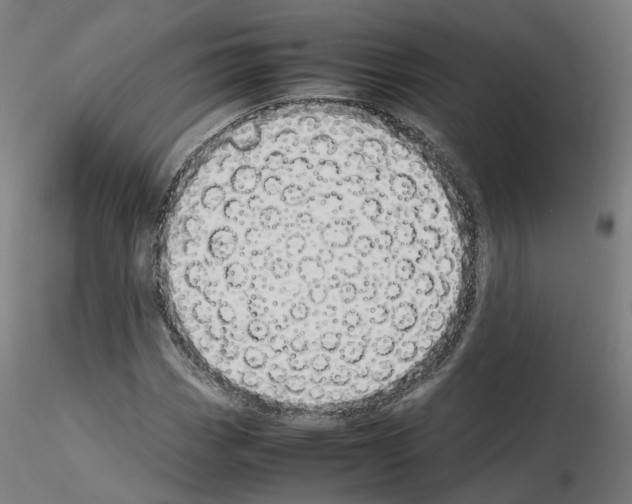 X0000115621113200912221222