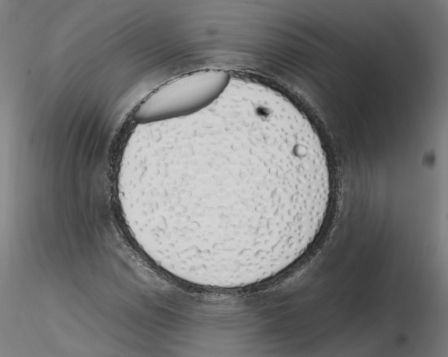 X0000115621114200912221222