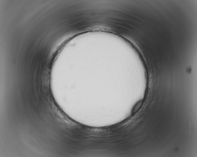 X0000115621115200912221222