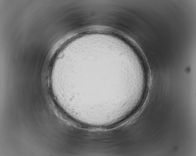 X0000115621117200912221222