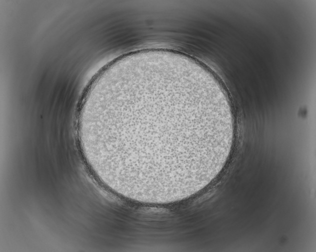 X0000115621119200912221222