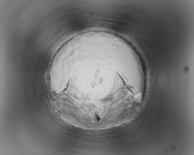 X0000115621121200912221222