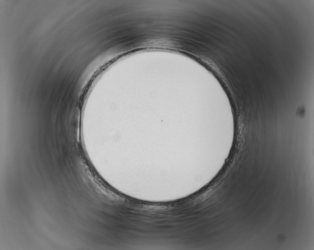 X0000115621123200912221222