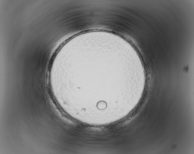 X0000115621125200912221222
