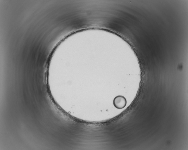 X0000115621126200912221222