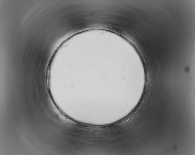 X0000115621127200912221222