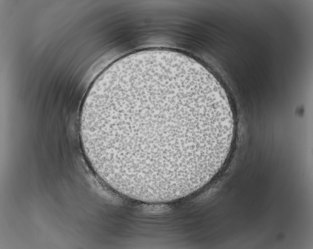 X0000115621129200912221222