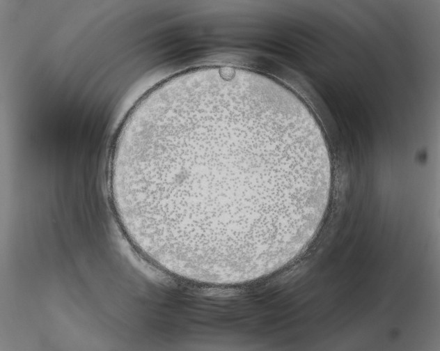 X0000115621131200912221222