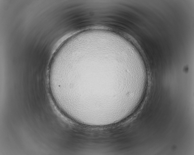 X0000115621133200912221222