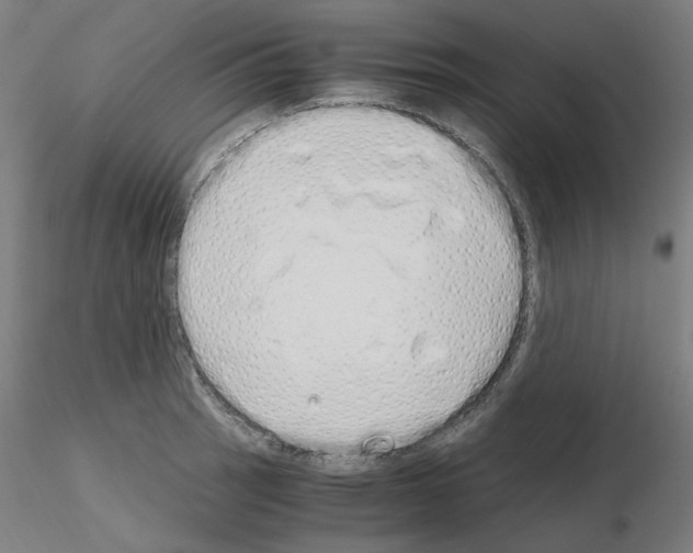 X0000115621137200912221223