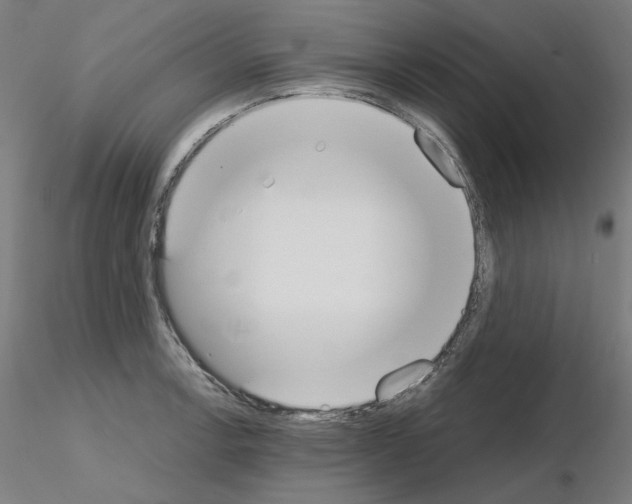 X0000115621138200912221223