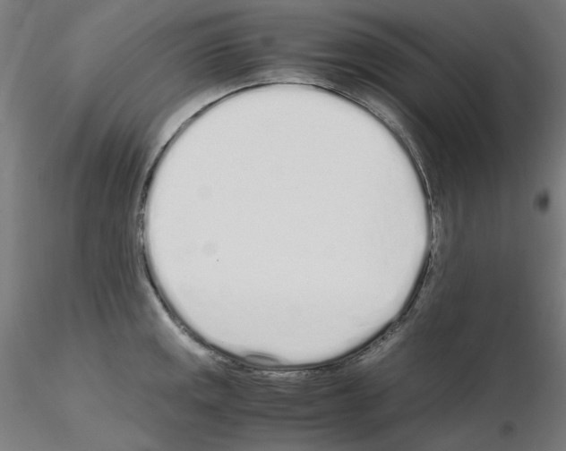 X0000115621141200912221223