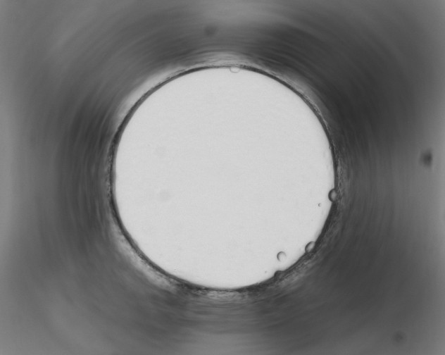 X0000115621142200912221223