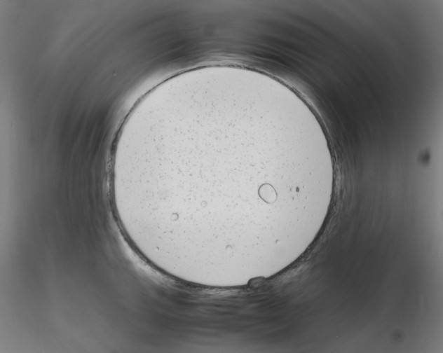 X0000115621143200912221223
