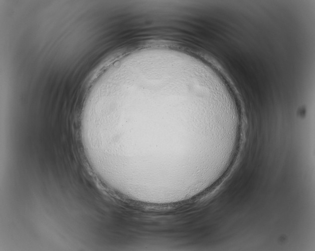 X0000115621145200912221223