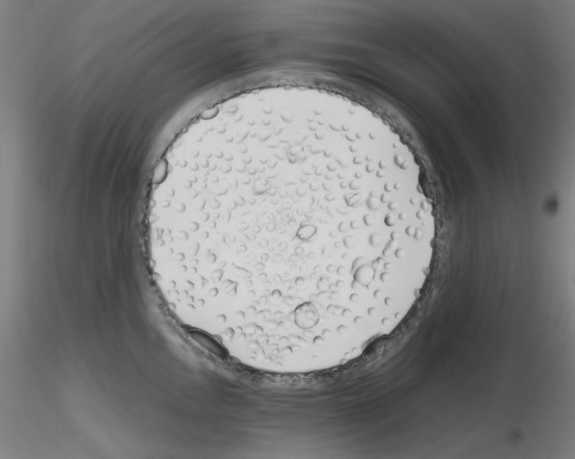 X0000115621146200912221223