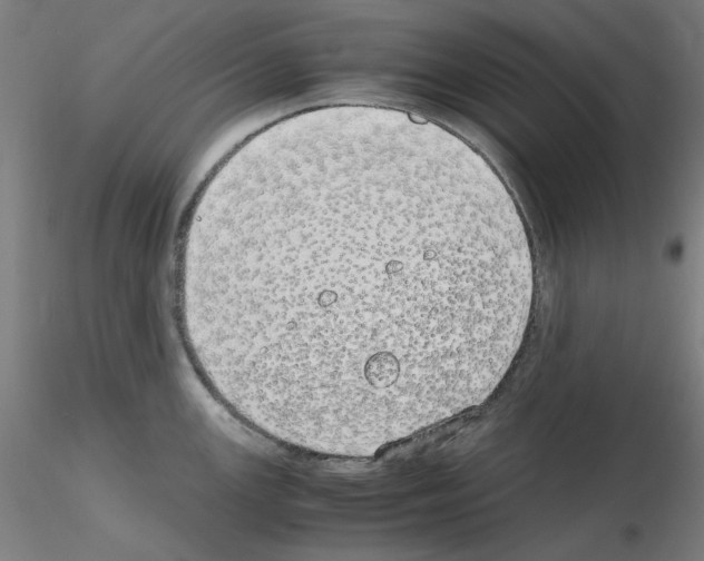 X0000115621147200912221223