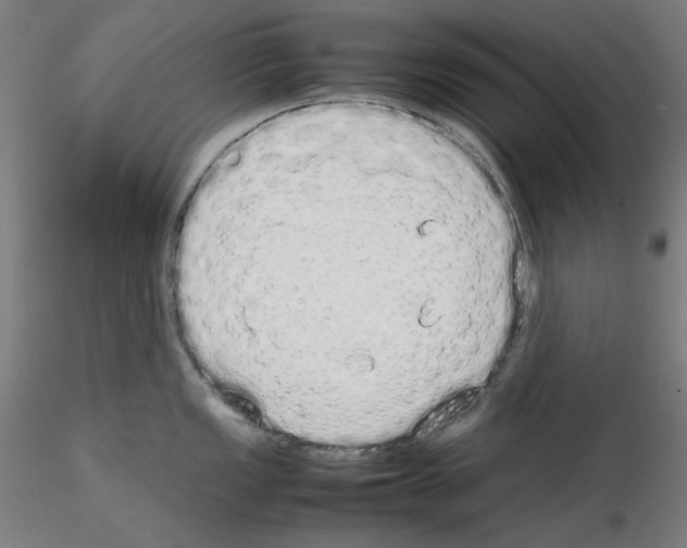 X0000115621149200912221223
