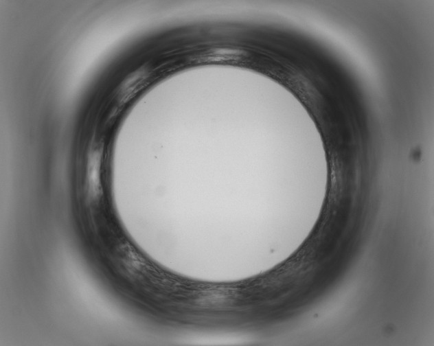 X0000115621150200912221223