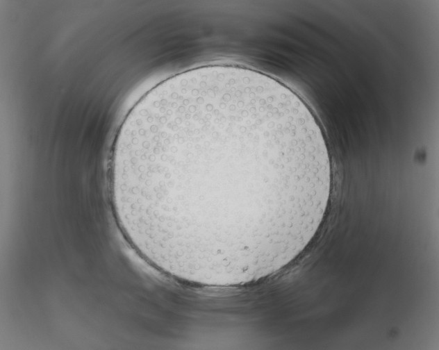 X0000115621151200912221223