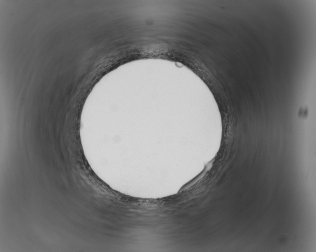 X0000115621153200912221222