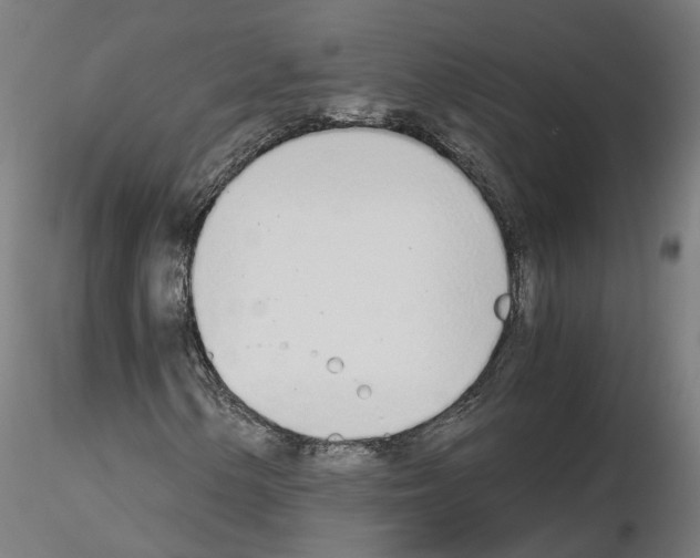 X0000115621154200912221222