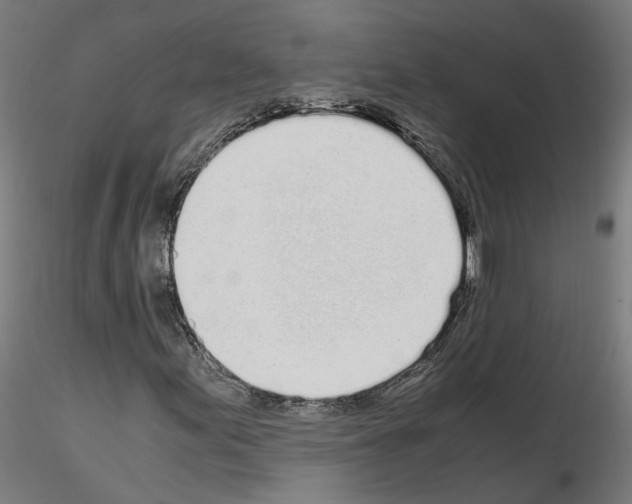 X0000115621155200912221222