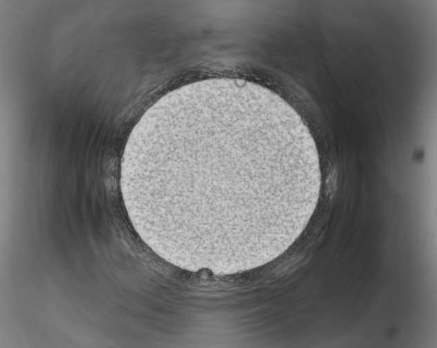 X0000115621156200912221222