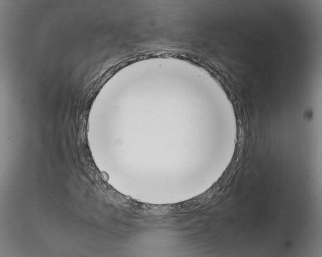 X0000115621157200912221222