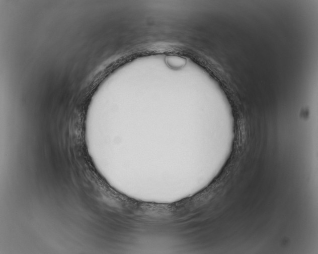 X0000115621158200912221222