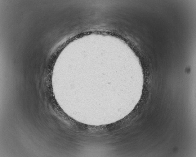 X0000115621159200912221222