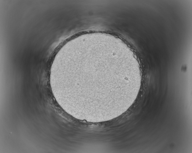 X0000115621160200912221222