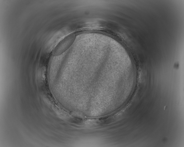 X0000115621161200912221222