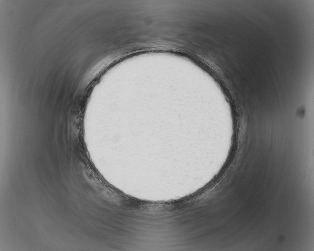 X0000115621163200912221222