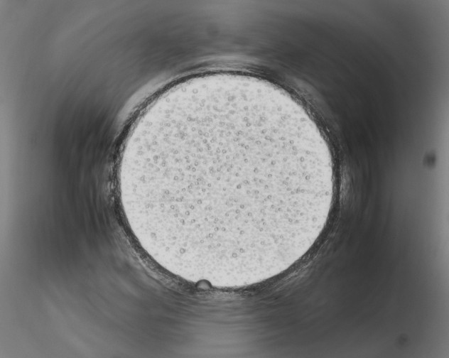 X0000115621164200912221222